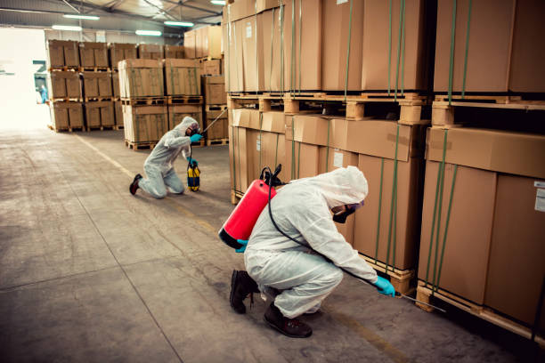Best Emergency Pest Control  in Briarcliff, TX