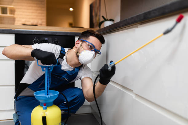 Best Residential Pest Control  in Briarcliff, TX