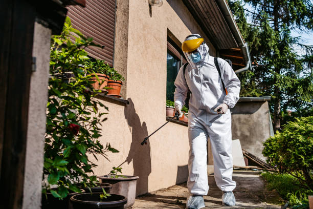 Best Best Pest Control Companies  in Briarcliff, TX