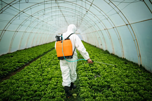 Pest Control for Restaurants in Briarcliff, TX