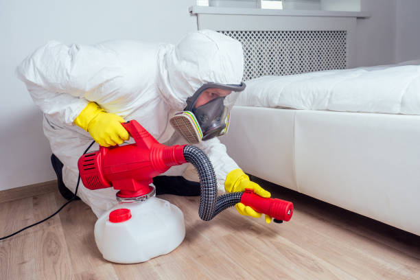 Best Ant Control Services  in Briarcliff, TX
