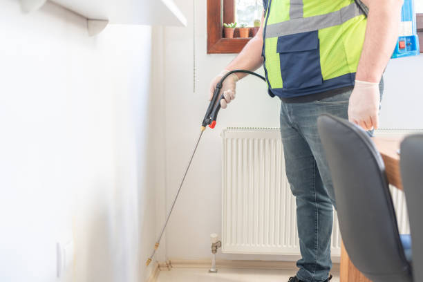 Best Rat Extermination Near Me  in Briarcliff, TX