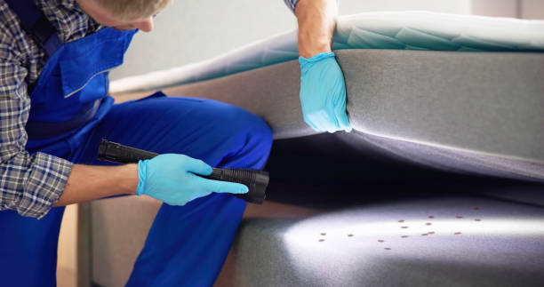 Best Pest Control Near Me  in Briarcliff, TX