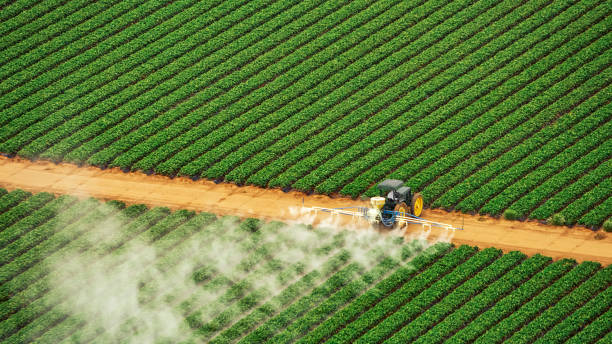 Briarcliff, TX Pest Control Company